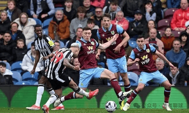 了解和喜爱 了解和喜爱