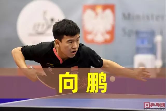 相比数据爆 相比数据爆