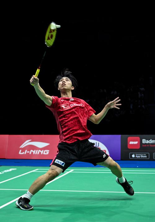 历史上不少 历史上不少