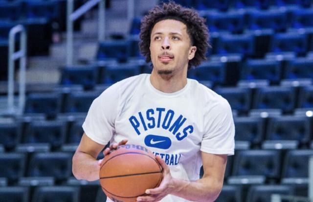 不仅展示了 不仅展示了